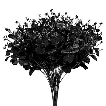 Black Eucalyptus Branches