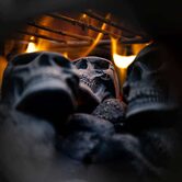 Skull Charcoal - The Black Ravens