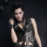 Studded Skull Leather Finger Gloves - The Black Ravens