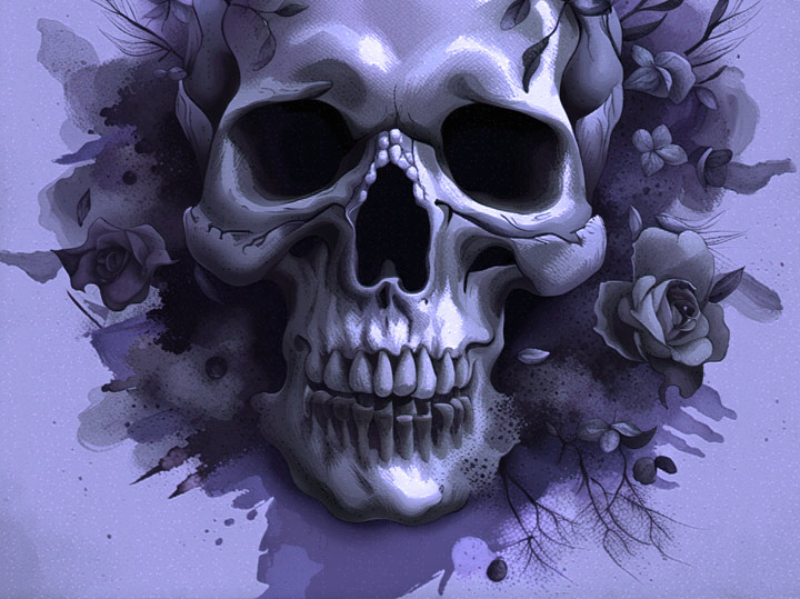 I Love Skulls Collection