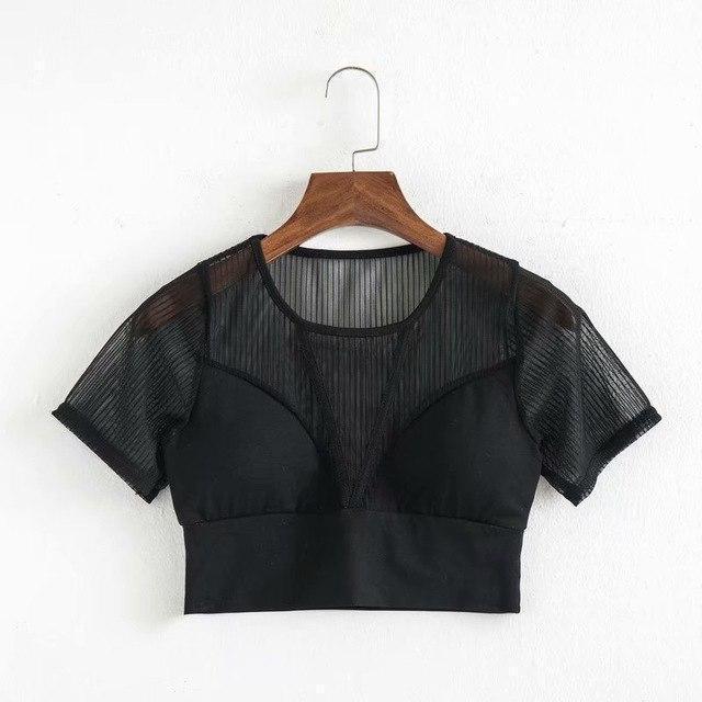 Hot and Sexy Mesh Crop Top - The Black Ravens